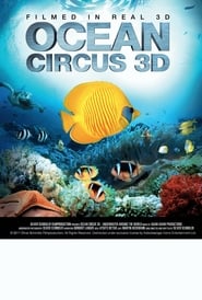 Ocean Circus 3D  Underwater Around the World' Poster