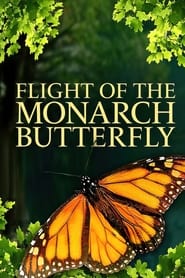 Flight of the Monarch Butterfly' Poster