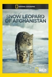 Snow Leopard of Afghanistan' Poster