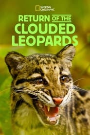 Return of the Clouded Leopards' Poster