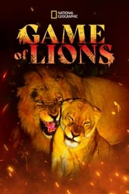 Game of Lions' Poster