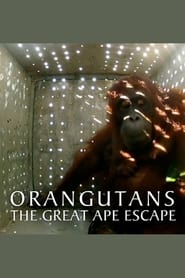 Orangutans The Great Ape Escape' Poster