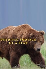Streaming sources forUnedited Footage of a Bear
