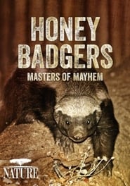 Honey Badgers Masters of Mayhem