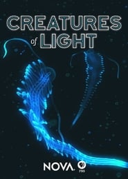 Creatures of Light' Poster