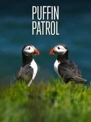 Puffin Patrol' Poster