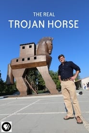Secrets of the Dead The Real Trojan Horse' Poster