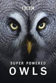 Super Powered Owls' Poster