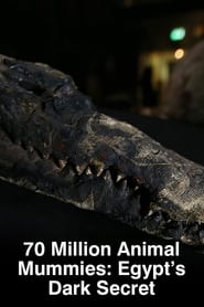70 Million Animal Mummies Egypts Dark Secret' Poster