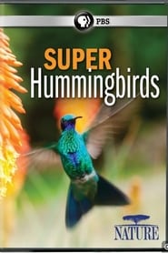 Super Hummingbirds' Poster
