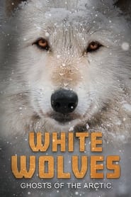 White Wolves Ghosts of the Arctic' Poster