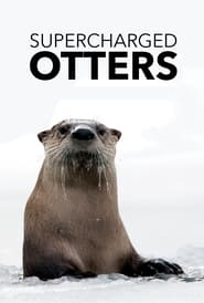 Supercharged Otters' Poster