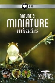 Natures Miniature Miracles' Poster