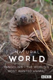 Streaming sources forPangolins The Worlds Most Wanted Animal
