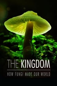 The Kingdom How Fungi Made Our World' Poster