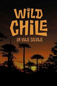 Chile A Wild Journey  The Special' Poster