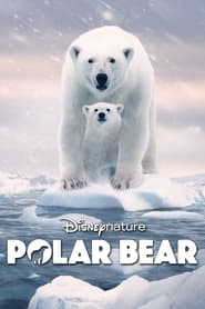 Polar Bear' Poster