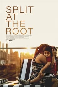 Split at the Root' Poster