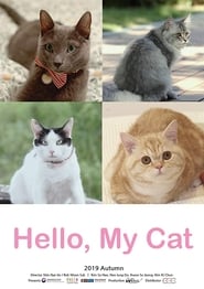 Hello My Cat' Poster