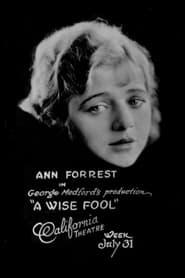 A Wise Fool' Poster