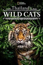 Thailands Wild Cats' Poster