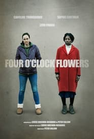 Four OClock Flowers' Poster