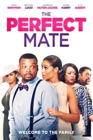 The Perfect Mate' Poster