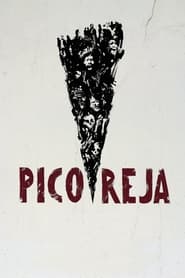 Pico Reja The Truth Buried Beneath' Poster