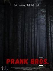 Prank Bros' Poster