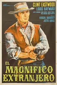 The Magnificent Stranger' Poster
