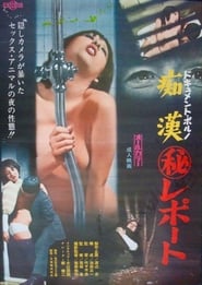 Document porno Chikan maruhi report' Poster