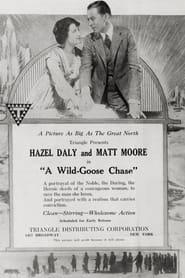 A Wild Goose Chase' Poster