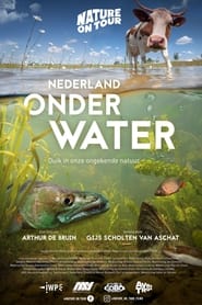 Nederland onder water' Poster