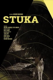 Stuka' Poster