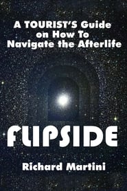 Flipside A Journey Into the Afterlife' Poster