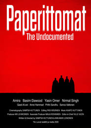 The Undocumented' Poster