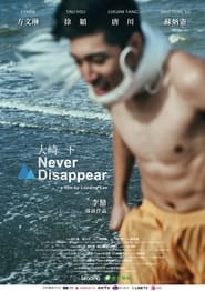 Never Disappear' Poster