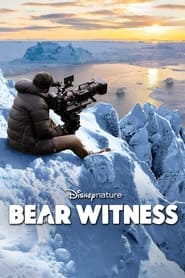 Bear Witness' Poster