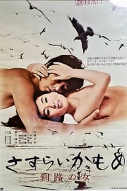Wandering Seagull Night in Kushiro' Poster