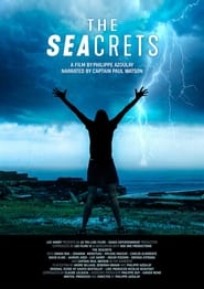 The Seacrets' Poster