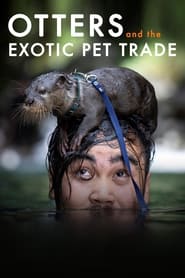 Otters and the Exotic Pet Trade' Poster