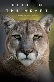 Streaming sources forDeep in the Heart A Texas Wildlife Story