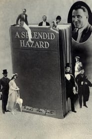 A Splendid Hazard' Poster
