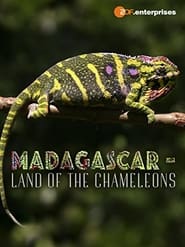 Madagascar Land of the Chameleons' Poster