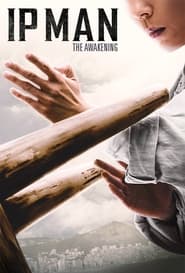 Ip Man The Awakening' Poster