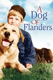 A Dog of Flanders' Poster