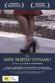 The MiniSkirted Dynamo