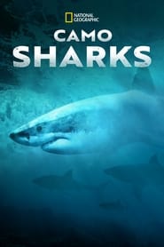 Camo Sharks' Poster