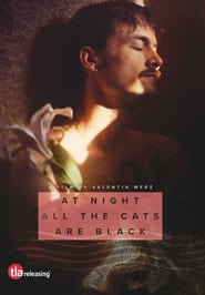 At Night All the Cats Are Black' Poster