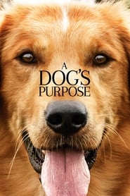 A Dogs Purpose' Poster